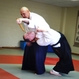 Aikido throw